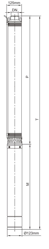 5” Borehole Pump–5SD22 Series Deep Well Submersible Pump