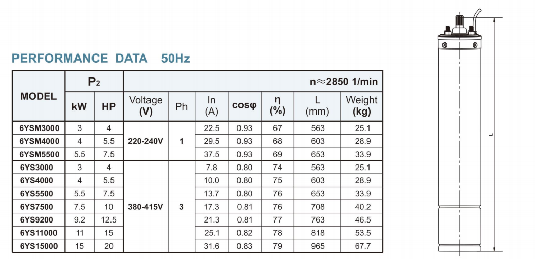 Submersible Motors–-6YS Series Oil filled Submersible Motor